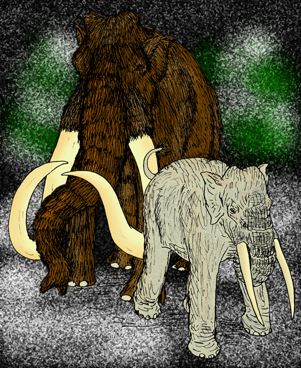 Mammuthus trogontherii (Steppe Mammoth), and Elephas namadicus (Asian Straight-Tusked Elephant).jpg