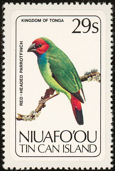 nou198311l-Fiji Parrotfinch (Erythrura pealii).jpg