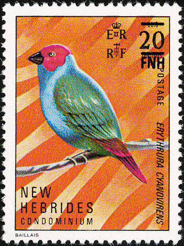 neh197702l-Royal Parrotfinch (Erythrura regia).jpg