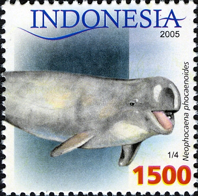 Stamps of Indonesia, 040-05 - Indo-Pacific finless porpoise (Neophocaena phocaenoides).jpg
