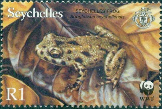 SC001-03 - Seychelles frog (Sooglossus sechellensis).jpg