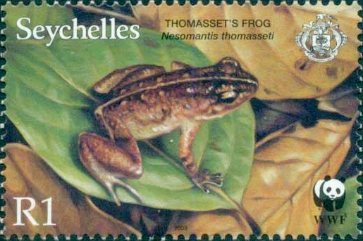 SC004-03 - Thomasset's Seychelles frog (Sooglossus thomasseti).jpg