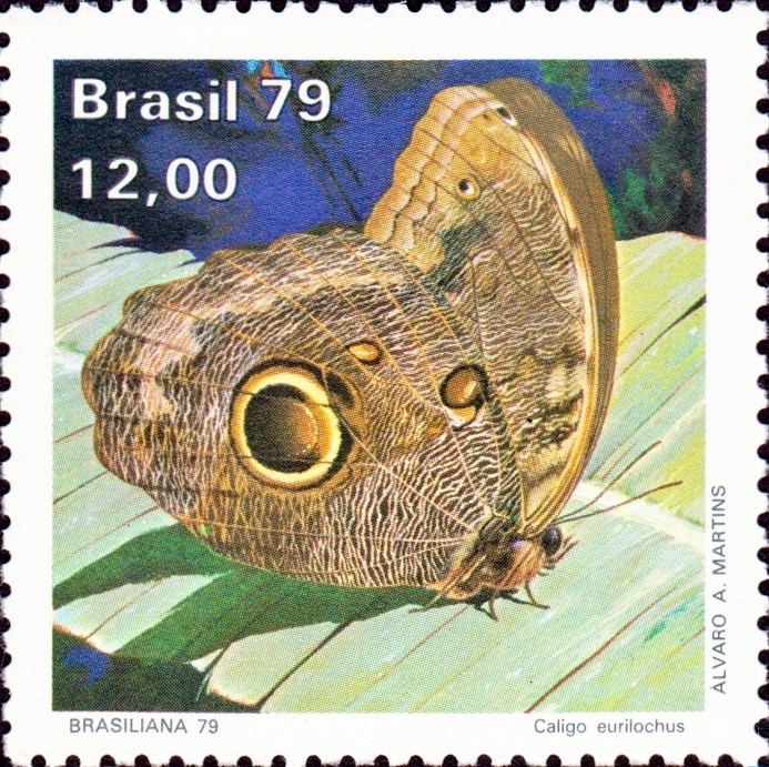 Caligo eurilochus 1979 Brazil stamp - Caligo eurilochus, forest giant owl.jpg