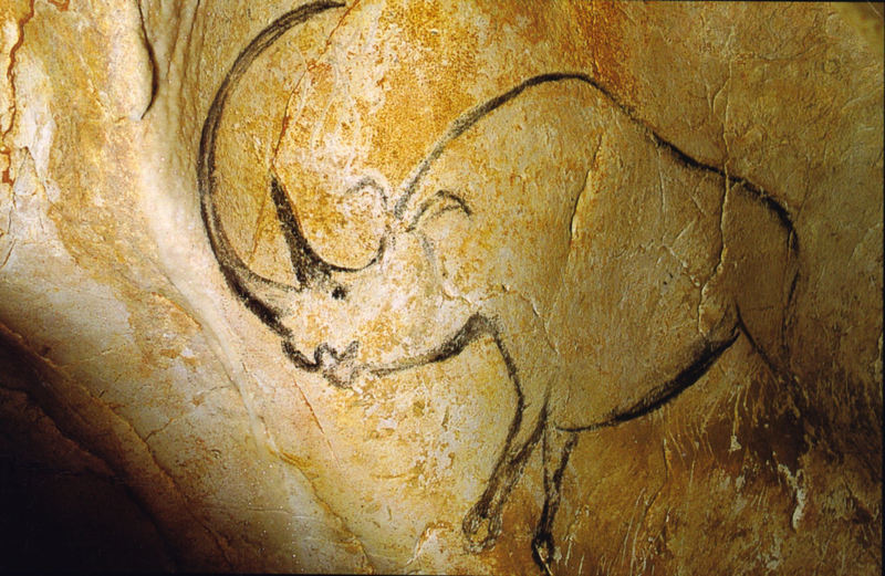 Rhinocéros grotte Chauvet - woolly rhinoceros (Coelodonta antiquitatis).jpg