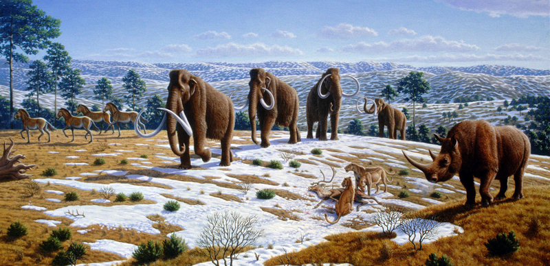 Ice age fauna of northern Spain - Mauricio Antón - woolly mammoth (Mammuthus primigenius), woolly rhinoceros (Coelodonta antiquitatis), European cave lion (Panthera leo spelaea).jpg