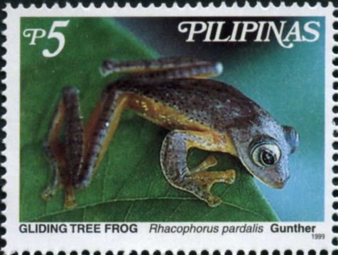 Rhacophorus pardalis 1999 stamp of the Philippines - Rhacophorus pardalis (harlequin tree frog, harlequin flying frog).jpg
