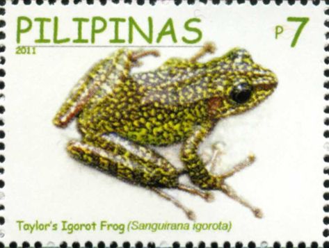 Hylarana igorota 2011 stamp of the Philippines - Taylor’s Igorot frog (Hylarana igorota).jpg