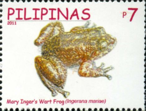 Alcalus mariae 2011 stamp of the Philippines - Mary's frog or Palawan eastern frog (Alcalus mariae).jpg