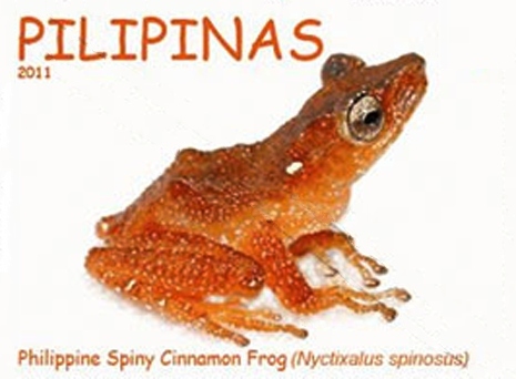 Theloderma spinosum 2011 stamp of the Philippines 2 - spiny tree frog (Theloderma spinosum).jpg