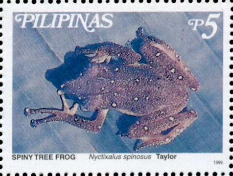 Theloderma spinosum 1999 stamp of the Philippines - spiny tree frog (Theloderma spinosum).jpg