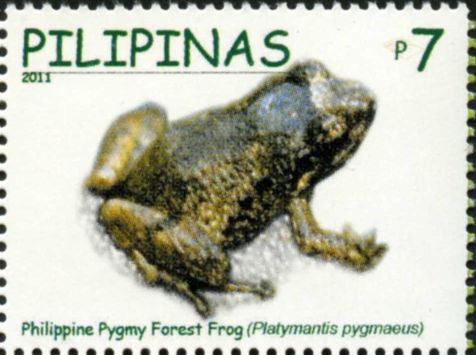 Platymantis pygmaeus 2011 stamp of the Philippines - pygmy forest frog (Platymantis pygmaeus).jpg