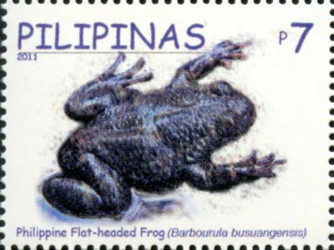 Barbourula busuangensis 2011 stamp of the Philippines - Philippine flat-headed frog (Barbourula busuangensis).jpg