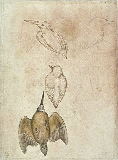 Pisanello - Codex Vallardi 2507 v.jpg