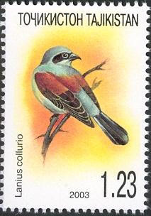 Stamps of Tajikistan, 049-03.jpg