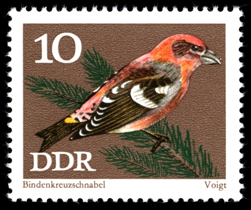 Stamps of Germany (DDR) 1973, MiNr 1835.jpg