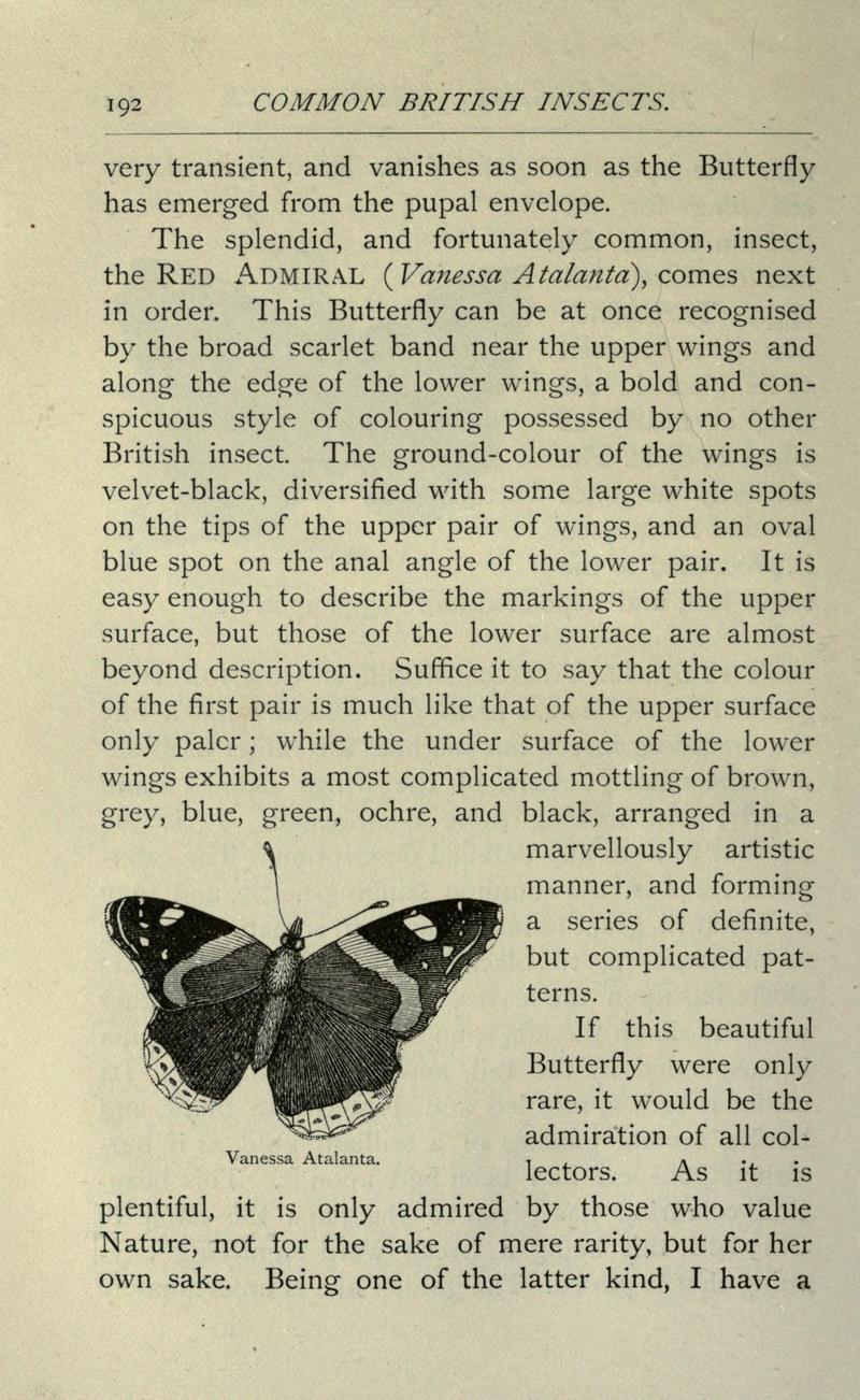 Common British insects selected from the typical beetles, moths, and butterflies of Great Britain (Page 192) BHL20045511.jpg