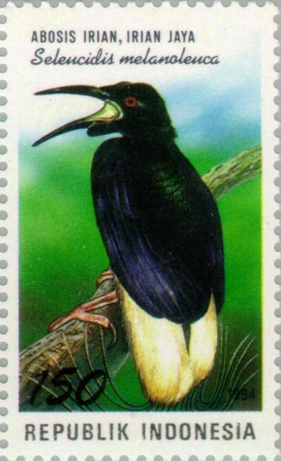 Seleucidis melanoleucus 1994 Indonesia stamp.jpg