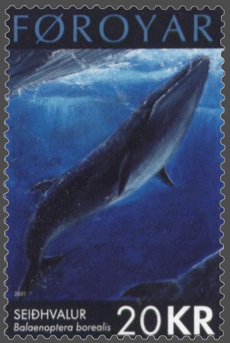 Faroe stamp 403 sei whale (Balaenoptera borealis).jpg