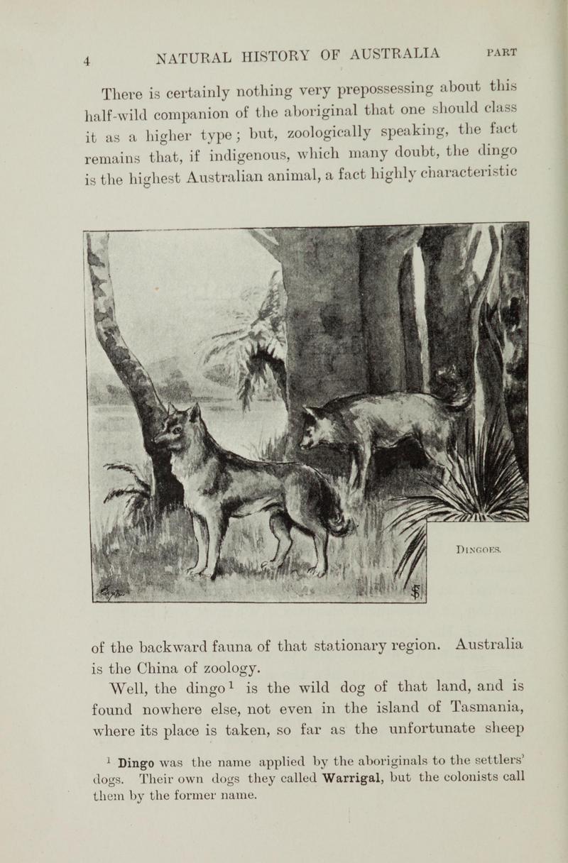 A sketch of the natural history of Australia (Page 4) BHL43165809.jpg
