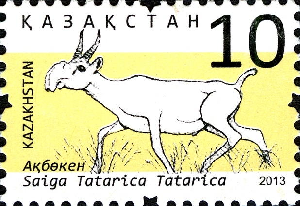 Stamps of Kazakhstan, 2013-66.jpg