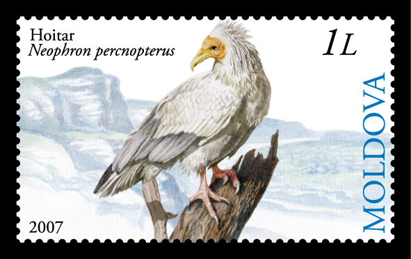 Stamp of Moldova 019.jpg
