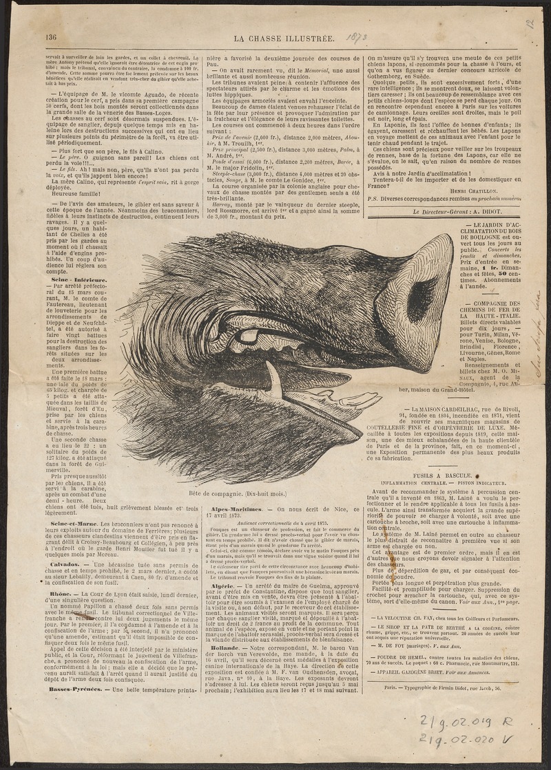 Sus scrofa fera - bek - 1873 - Print - Iconographia Zoologica - Special Collections University of Amsterdam - UBA01 IZ21900091.jpg