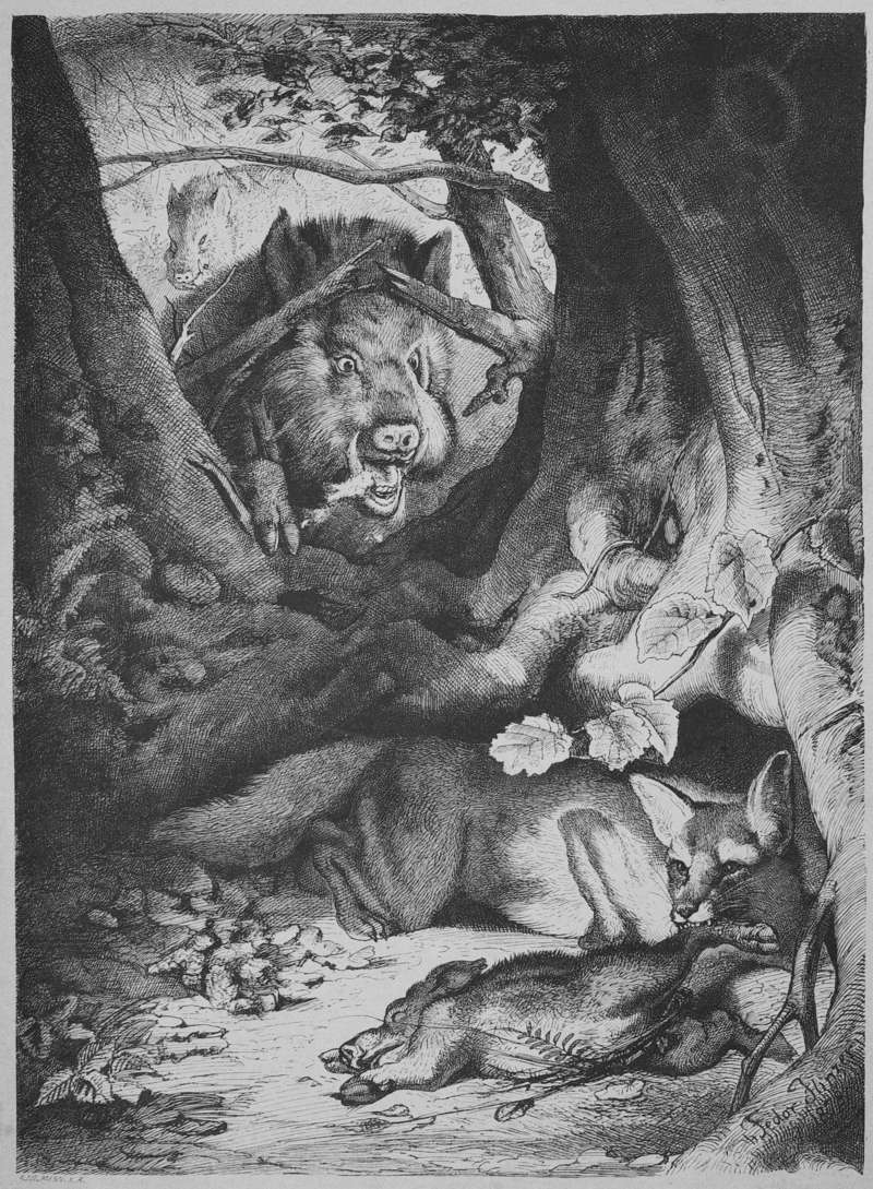 Die Gartenlaube (1879) b 017.jpg