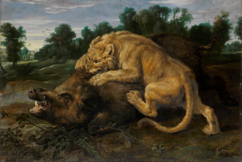 Frans Snyders - A lion killing a boar.jpg