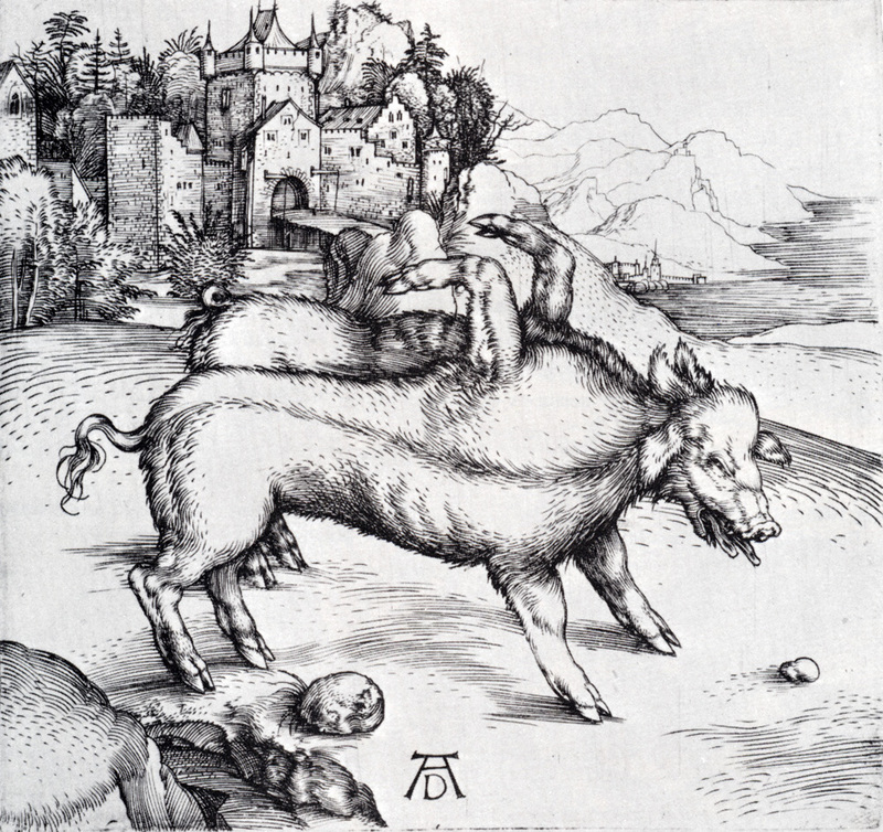 Dürer, Albrecht — The Monstrous Sow of Landser — circa 1496.jpg