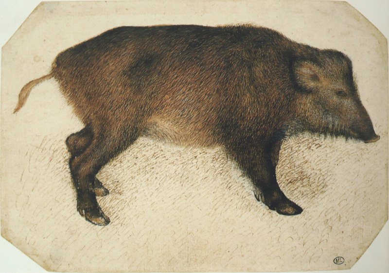 Pisanello - Codex Vallardi 2417.jpg