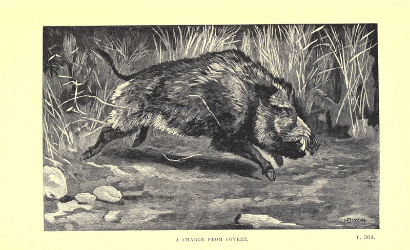 Wild beasts and their ways (Plate 21) (6505689231).jpg