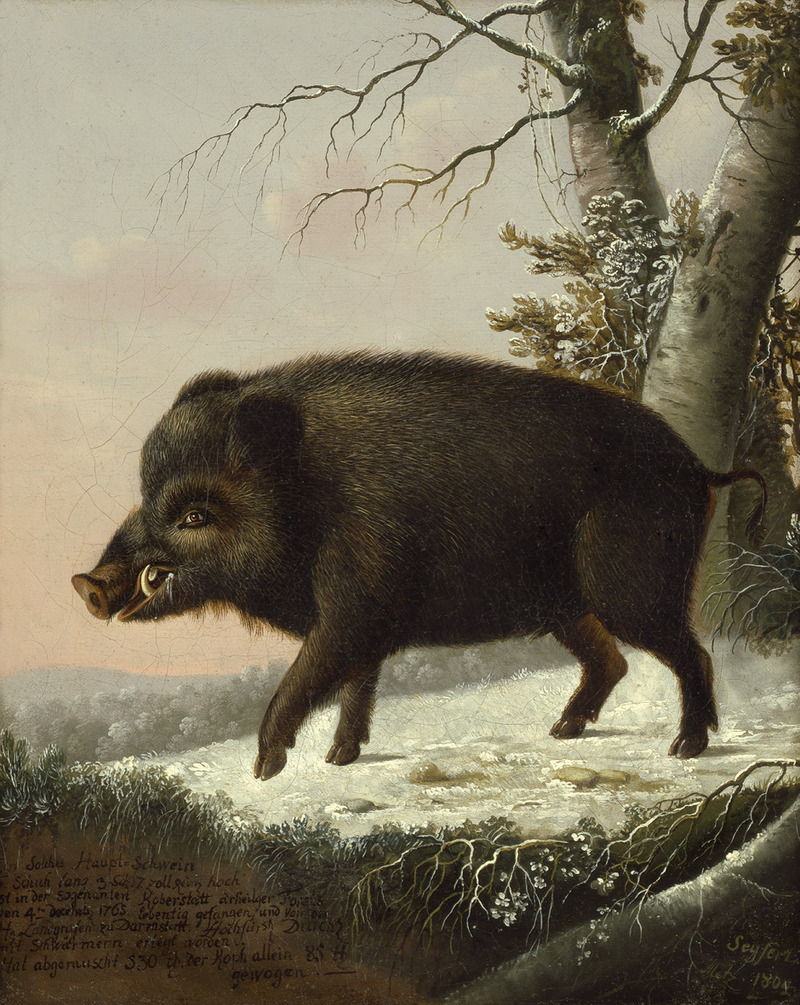 Eligius von Seyfert Ein Wildschwein im verschneiten Wald.jpg