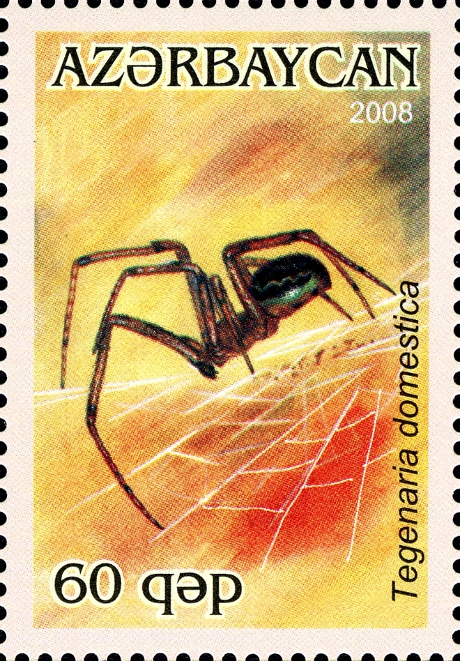 Stamps of Azerbaijan, 2008-845.jpg