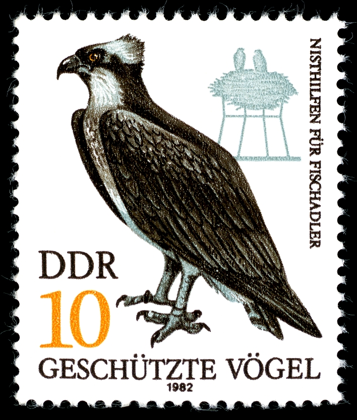 Stamps of Germany (DDR) 1982, MiNr 2702.jpg