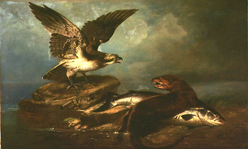 John James Audubon - Osprey and the Otter and the Salmon.jpg