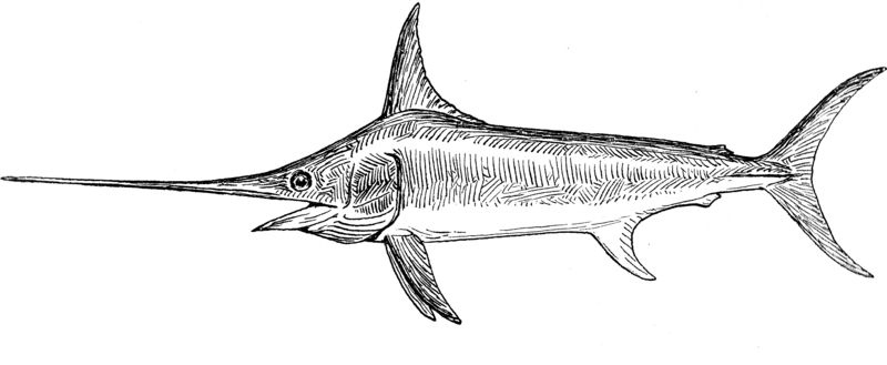 Swordfish (PSF).png