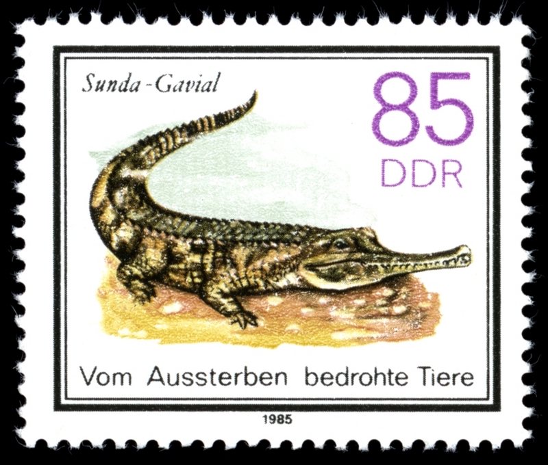 Stamps of Germany (DDR) 1985, MiNr 2956.jpg