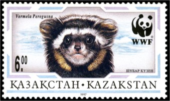 Stamp of Kazakhstan 153.jpg