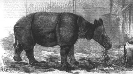 London-Zoo-1874.jpg