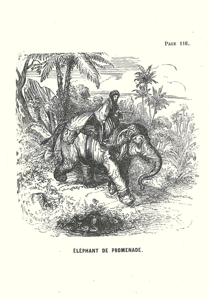Ceylan-Sachot-1869-éléphant de promenade.jpg