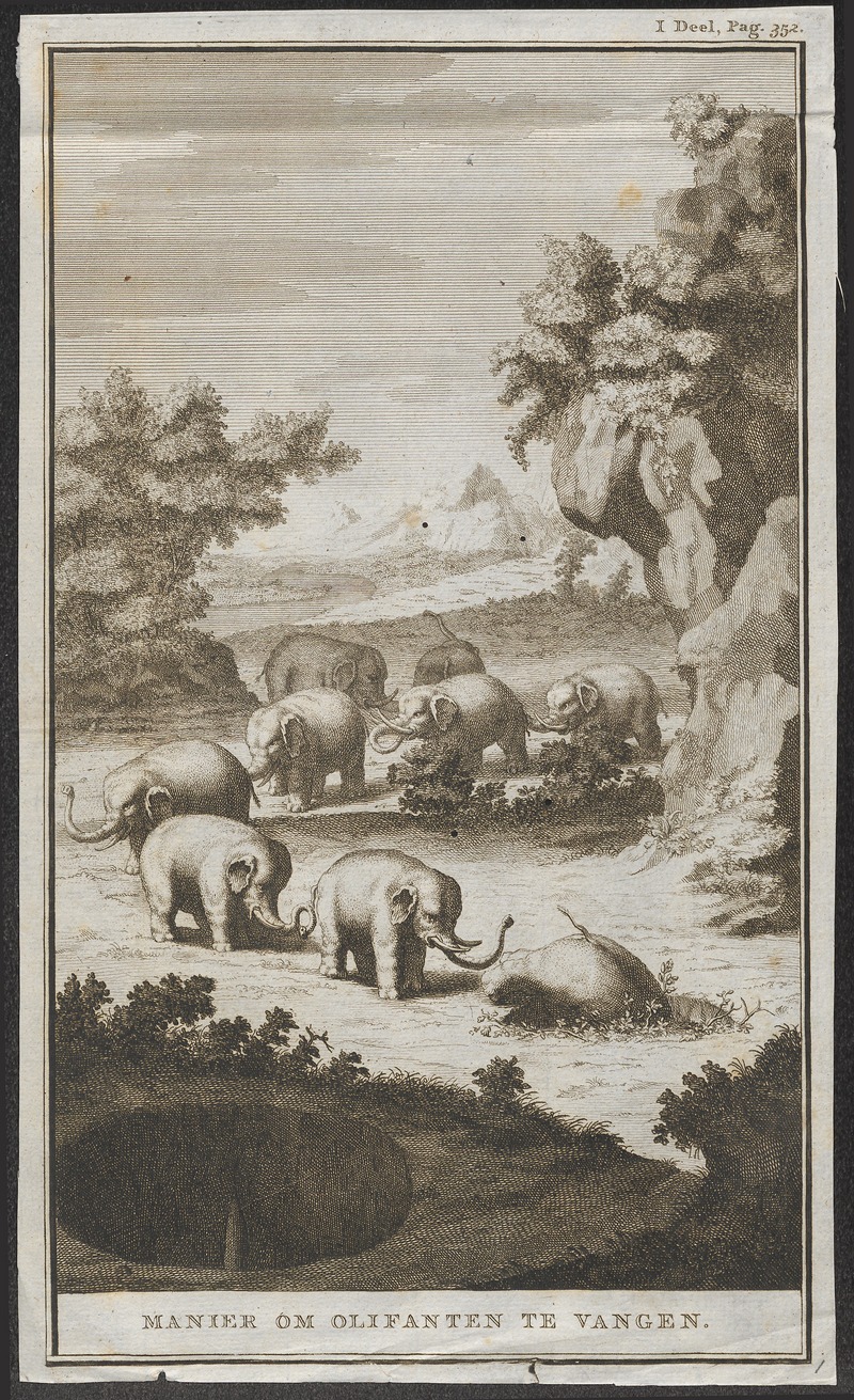 Elephas indicus - 1700-1880 - Print - Iconographia Zoologica - Special Collections University of Amsterdam - UBA01 IZ22000059.jpg