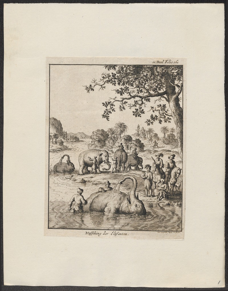 Elephas indicus - 1700-1880 - Print - Iconographia Zoologica - Special Collections University of Amsterdam - UBA01 IZ22000065.jpg
