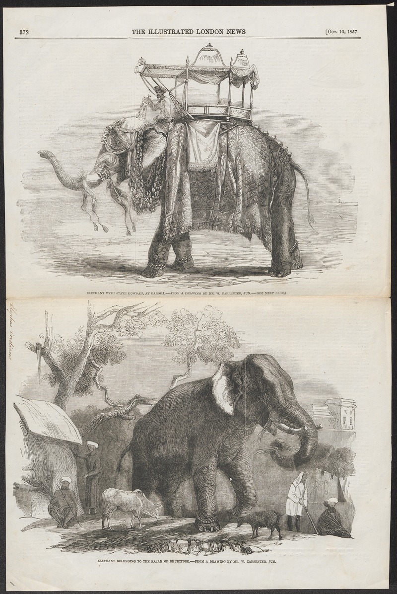 Elephas indicus - 1857 - Print - Iconographia Zoologica - Special Collections University of Amsterdam - UBA01 IZ22000061.jpg