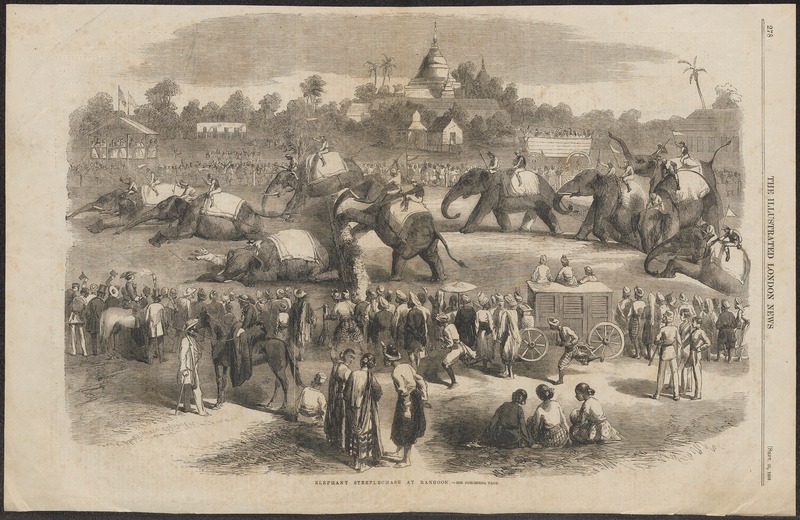 Elephas indicus - 1858 - Print - Iconographia Zoologica - Special Collections University of Amsterdam - UBA01 IZ22000117.jpg
