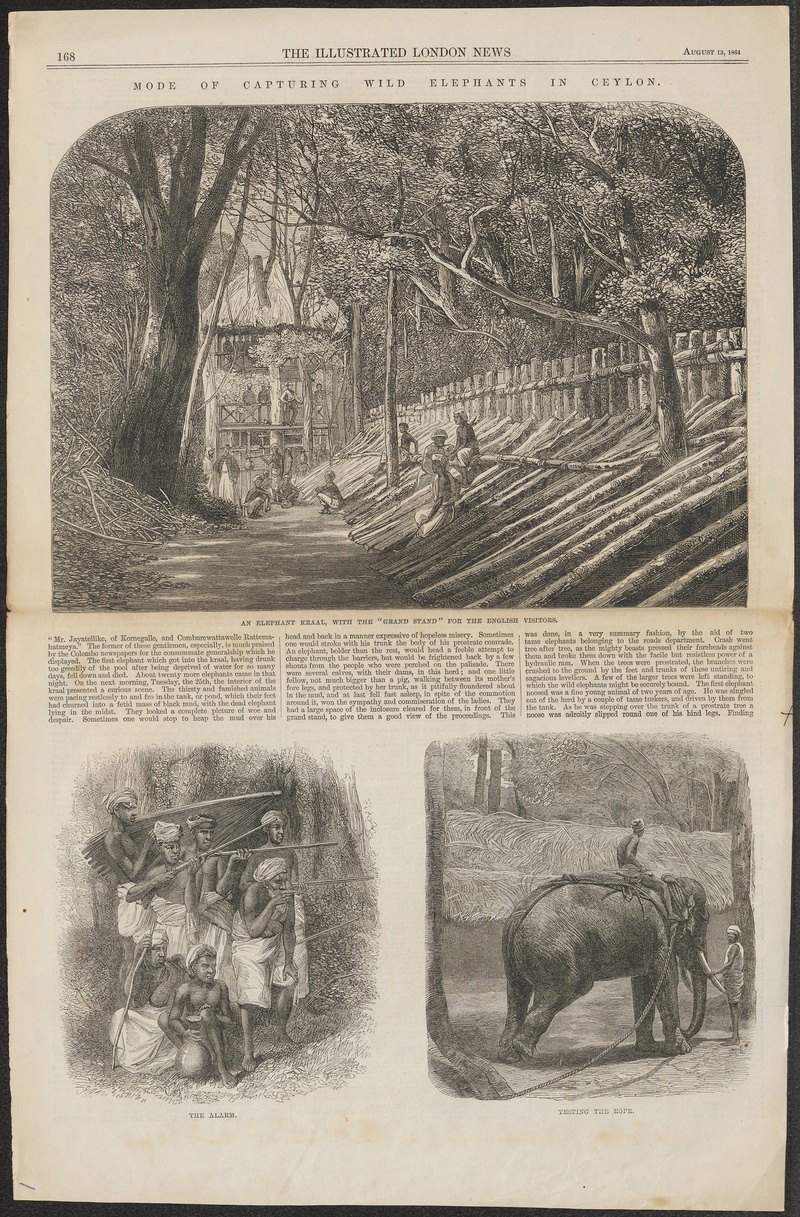 Elephas indicus - 1864 - Print - Iconographia Zoologica - Special Collections University of Amsterdam - UBA01 IZ22000115.jpg