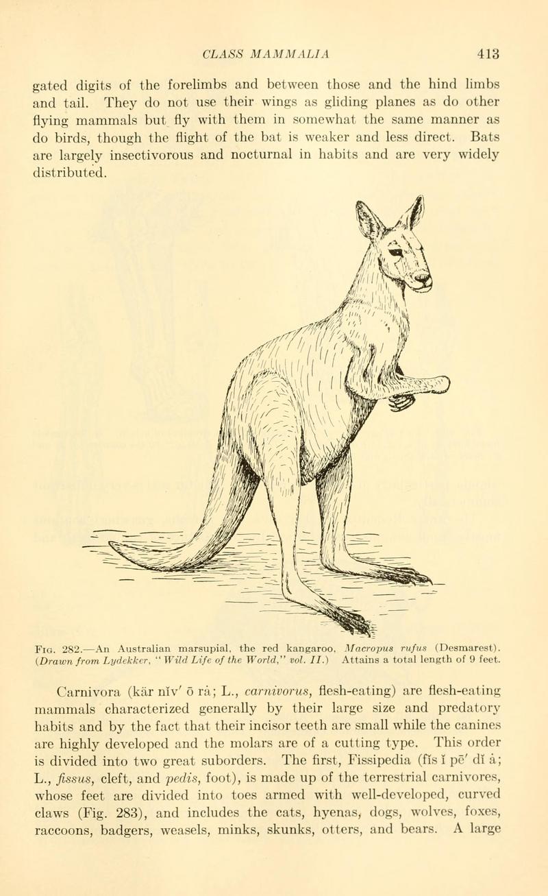 Animal biology (1933) (18170727386).jpg