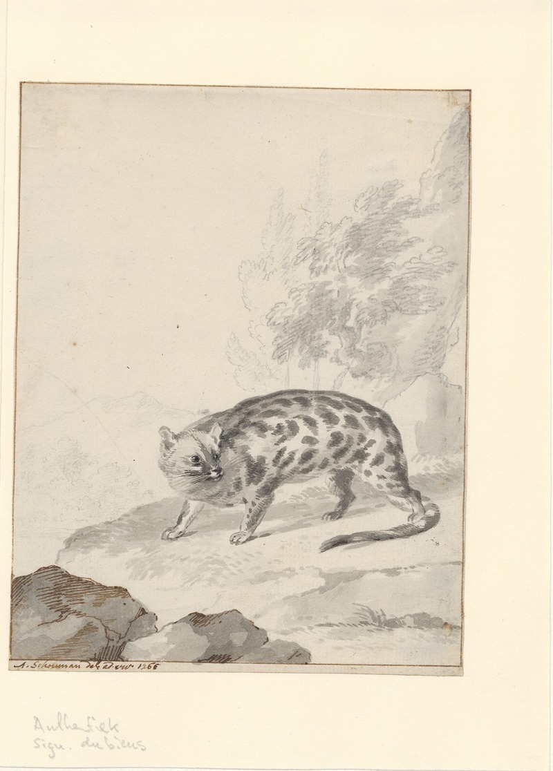 Paradoxurus hermaphroditus - 1766 - Print - Iconographia Zoologica - Special Collections University of Amsterdam - UBA01 IZA1000706.jpg