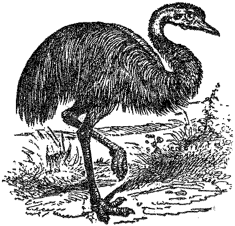 NSRW Emu.png