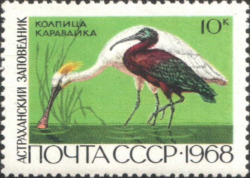 The Soviet Union 1968 CPA 3676 stamp (Eurasian Spoonbill and Glossy Ibis (Astrakhan Nature Reserve)).jpg