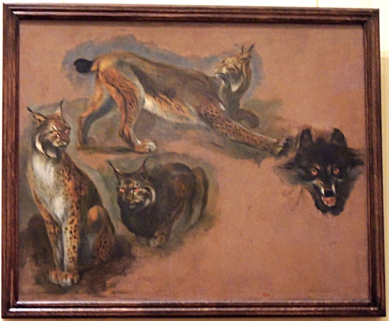 Musee des Beaux-Arts Rennes Lynx et loup.JPG